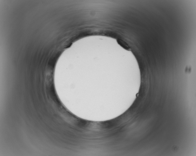 X0000113090127200910091306