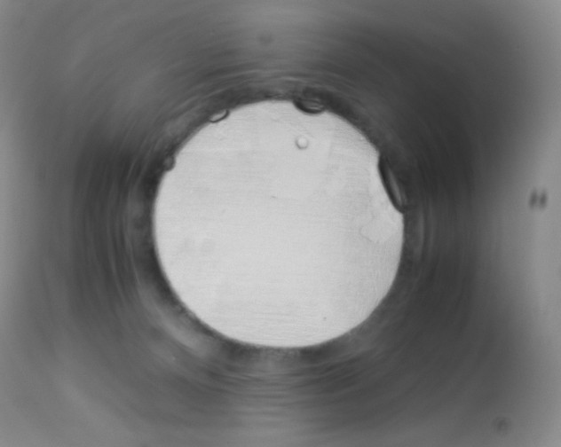 X0000113090128200910091306