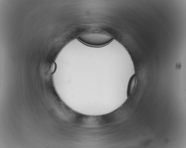 X0000113090129200910091306