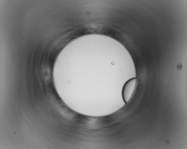 X0000113090130200910091306