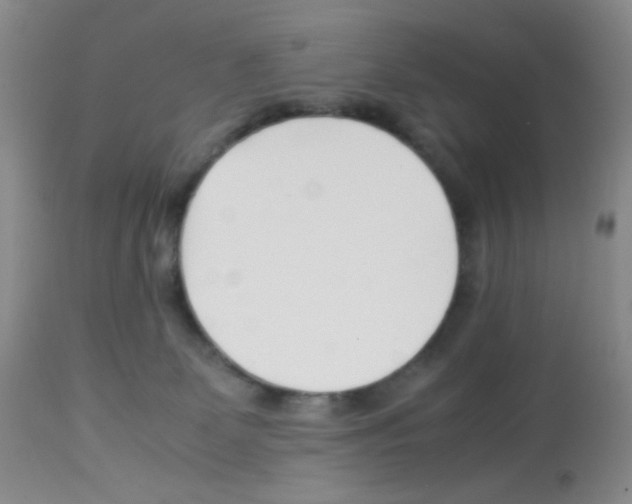 X0000113090131200910091306