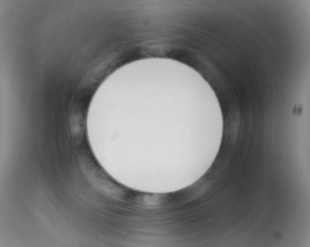 X0000113090134200910091306