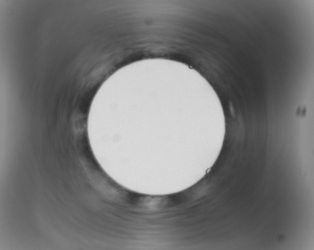 X0000113090135200910091306