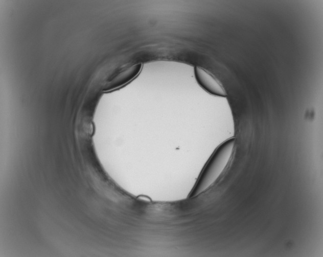 X0000113090137200910091306