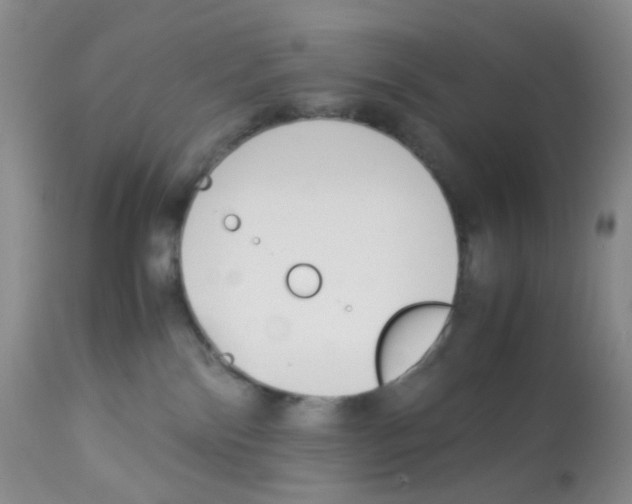 X0000113090138200910091306