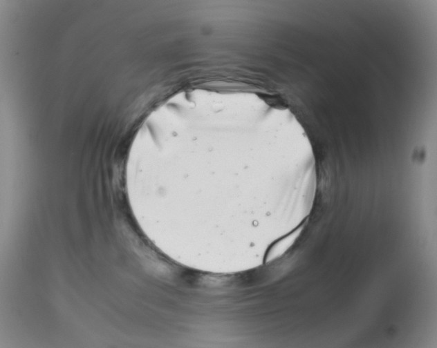 X0000113090139200910091306