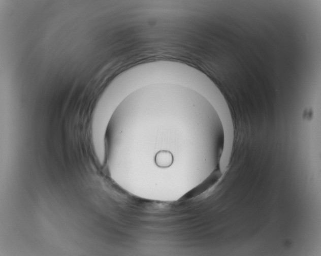X0000113090140200910091306