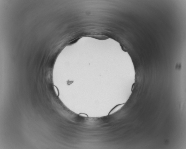 X0000113090141200910091306