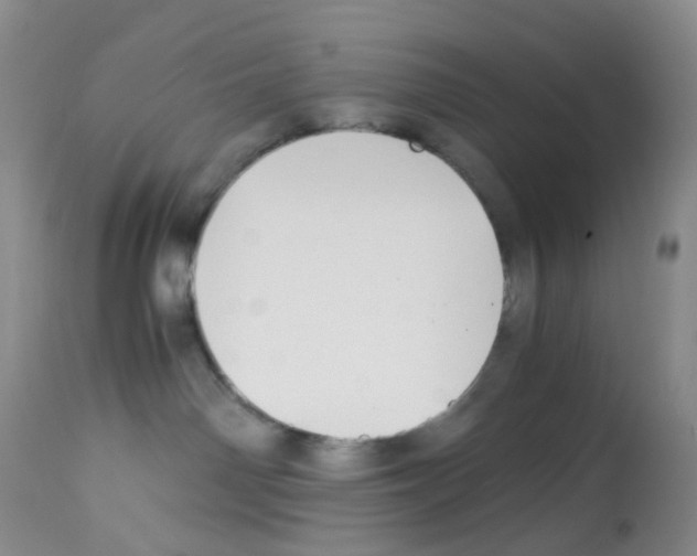 X0000113090142200910091306
