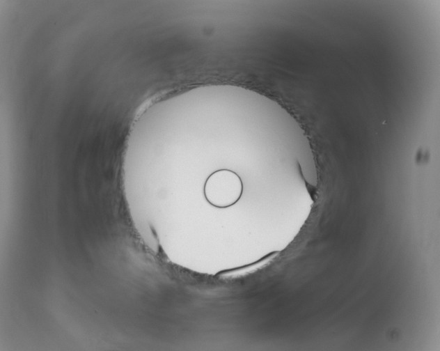 X0000113090144200910091306
