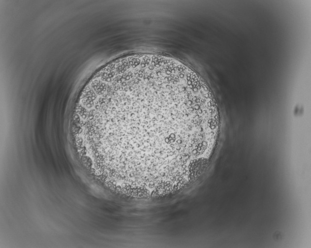 X0000113090145200910091305
