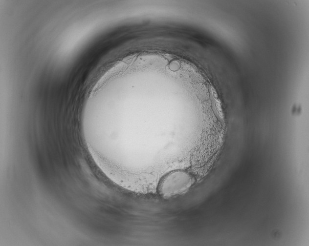 X0000113090146200910091305