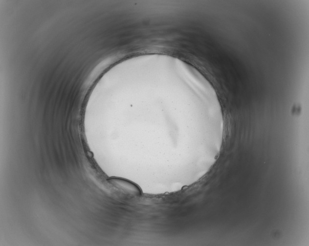 X0000113090147200910091305
