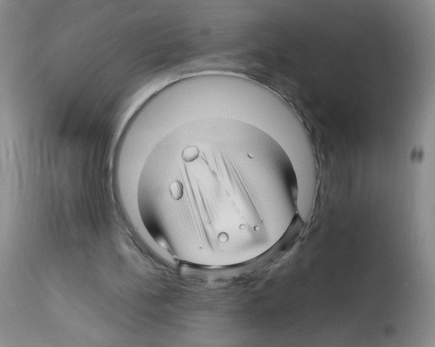 X0000113090148200910091305