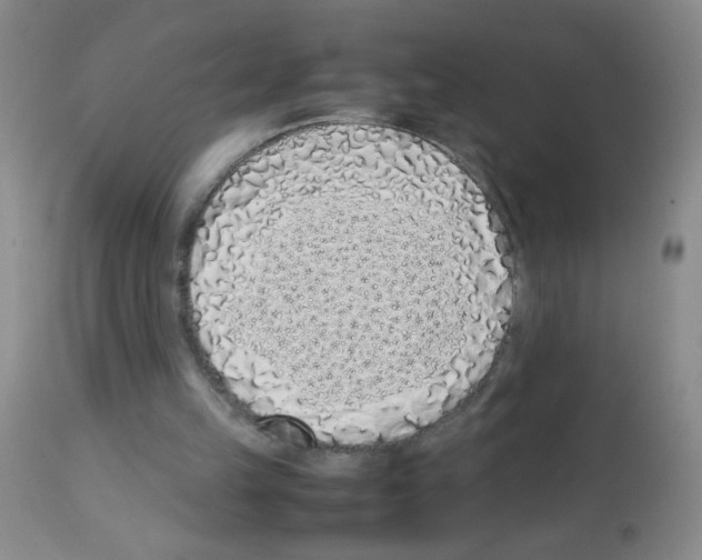 X0000113090149200910091305