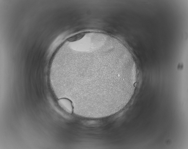 X0000113090151200910091305
