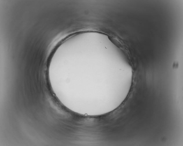 X0000113090152200910091305