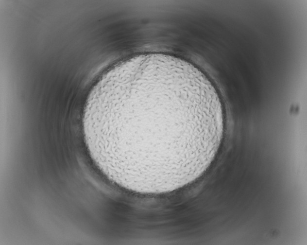 X0000113090153200910091305