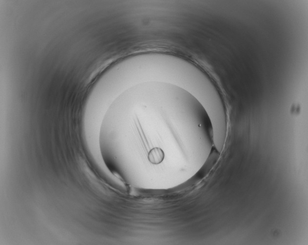 X0000113090154200910091305