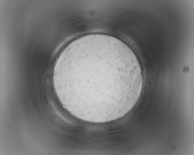 X0000113090155200910091305