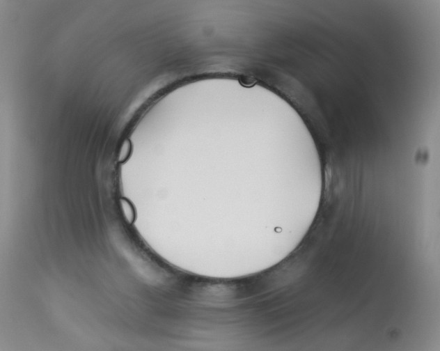 X0000113090156200910091305