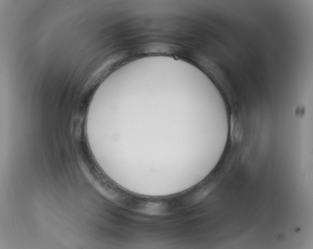 X0000113090157200910091305