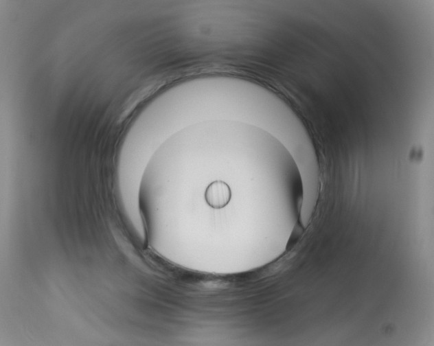 X0000113090158200910091305