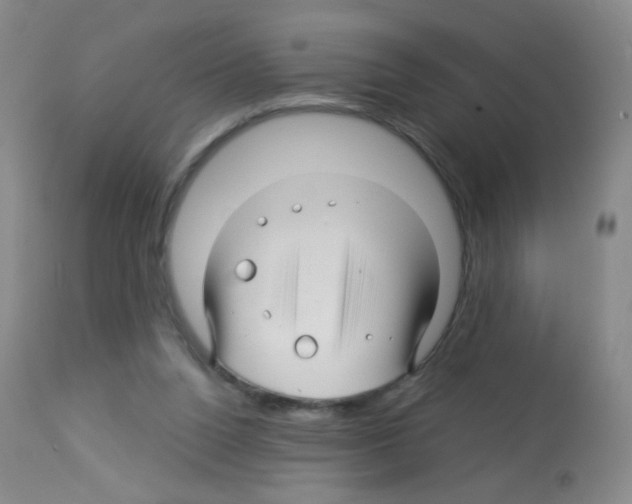 X0000113090160200910091305