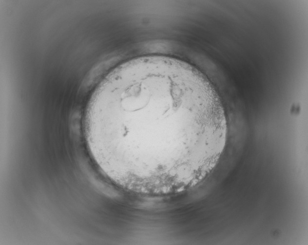 X0000113090162200910091306