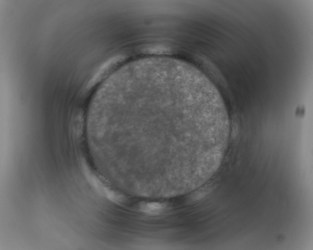 X0000113090163200910091306