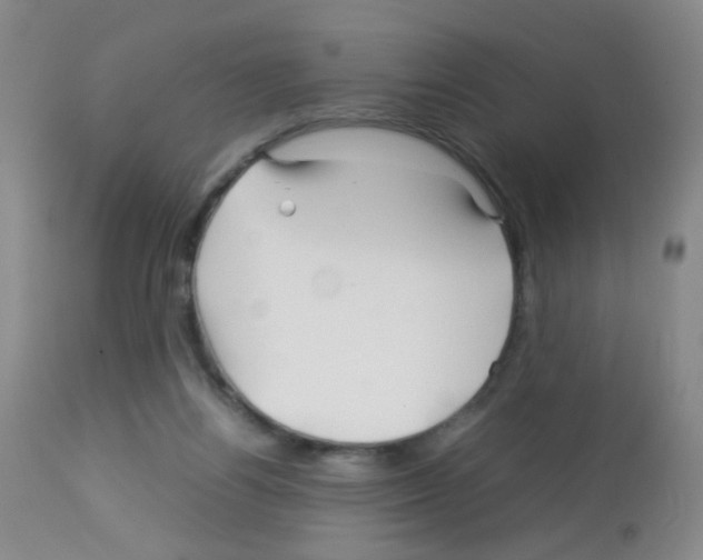 X0000113090164200910091306