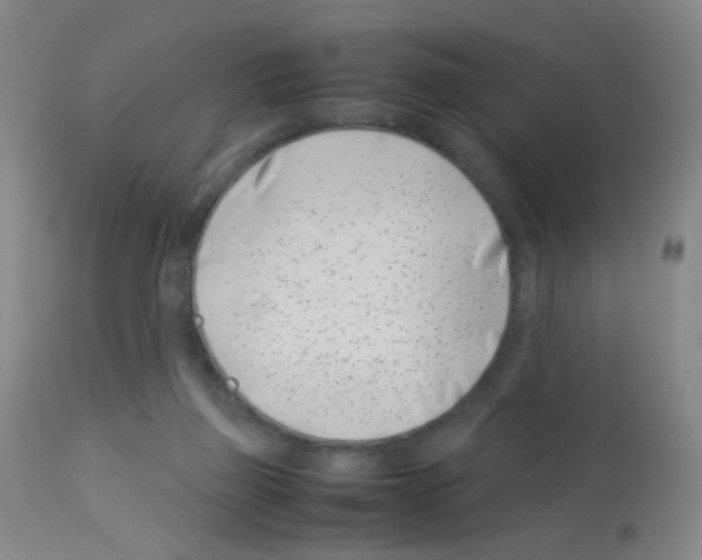X0000113090165200910091306