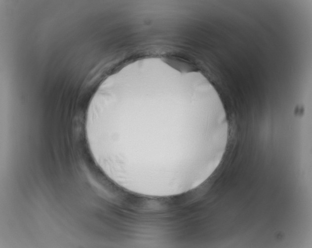 X0000113090166200910091306
