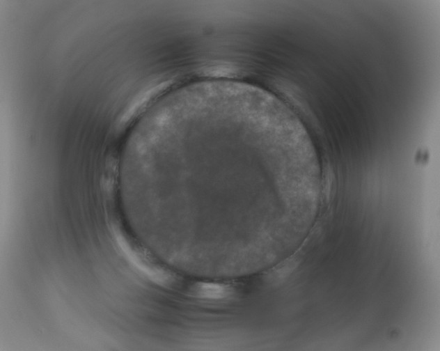 X0000113090167200910091306
