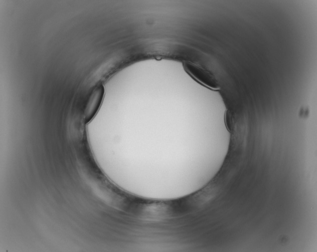 X0000113090168200910091306