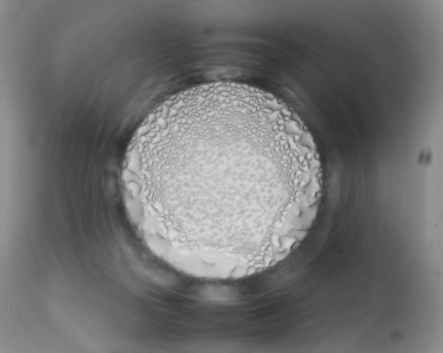 X0000113090169200910091306
