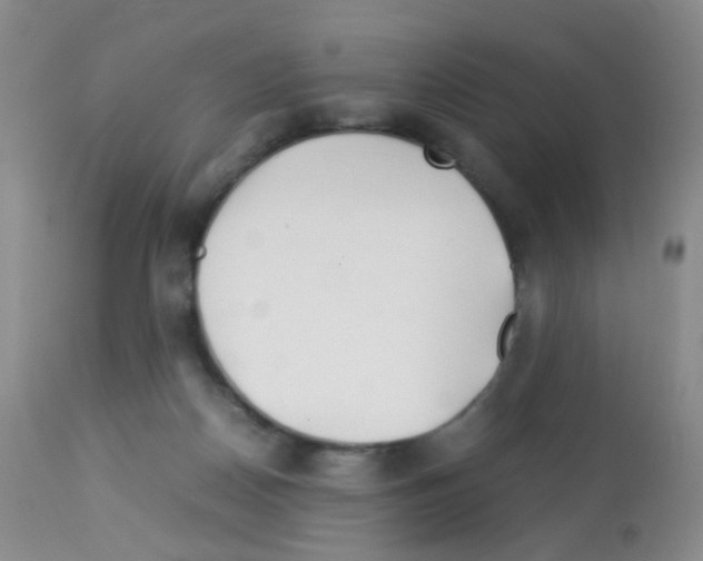 X0000113090170200910091306
