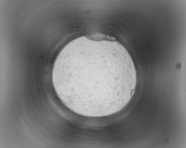 X0000113090171200910091306