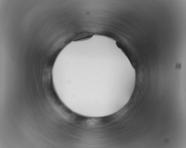 X0000113090172200910091306