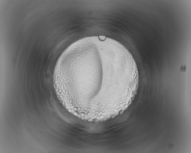 X0000113090173200910091306