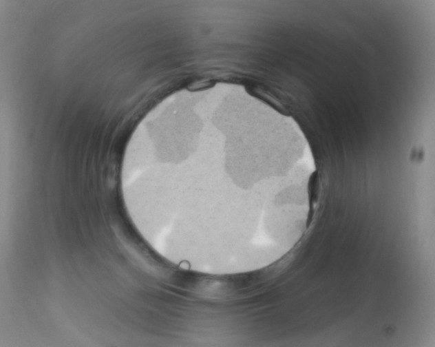 X0000113090174200910091306