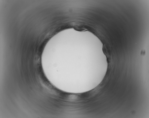 X0000113090176200910091306
