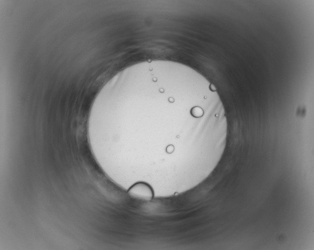 X0000113090177200910091306