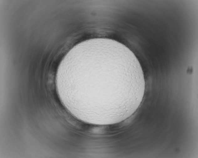 X0000113090178200910091306