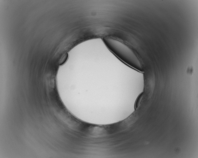 X0000113090180200910091306