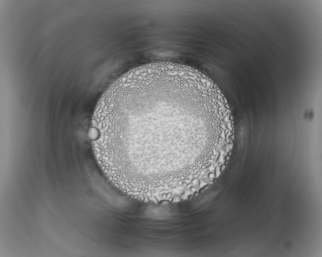 X0000113090181200910091306