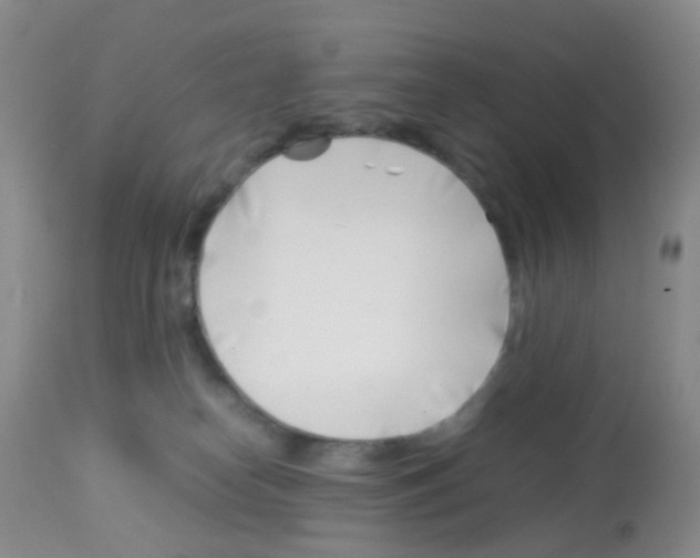 X0000113090182200910091306
