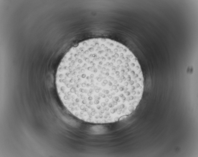 X0000113090183200910091306