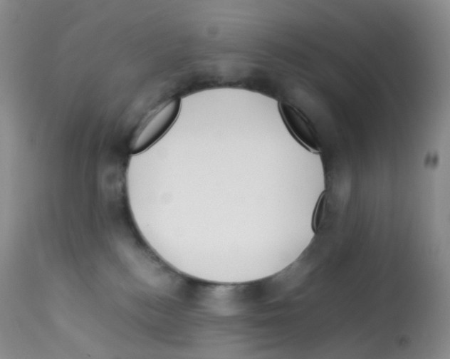 X0000113090184200910091306