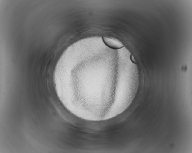 X0000113090185200910091306